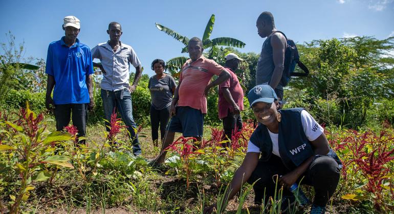 Les agriculteurs du nord d'Haïti s'efforcent de renforcer leur résilience